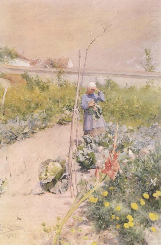 Carl Larsson In the Kitchen Garden china oil painting image